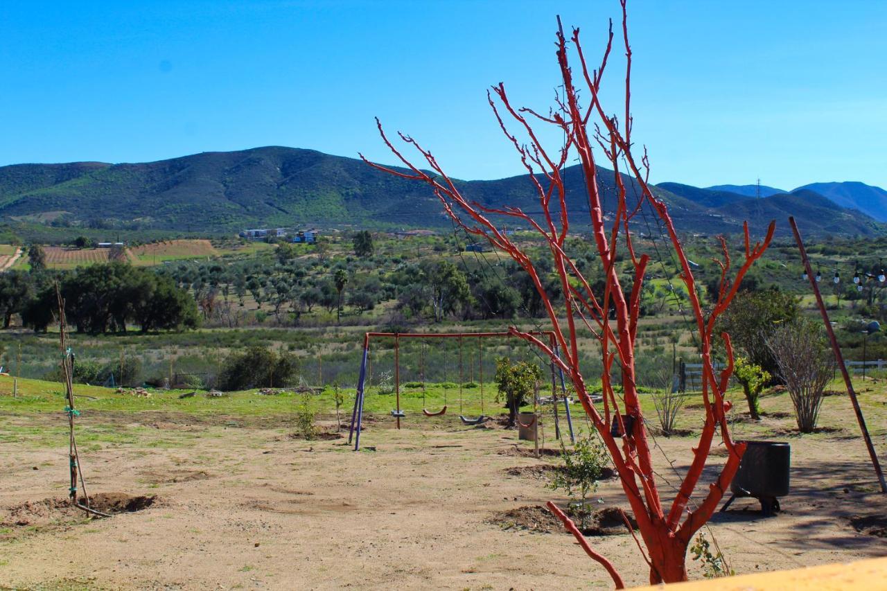 Rancho Matalote En Валье-де-Гуадалупе Экстерьер фото